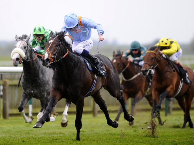 Timeform have found three bets at Newmarket